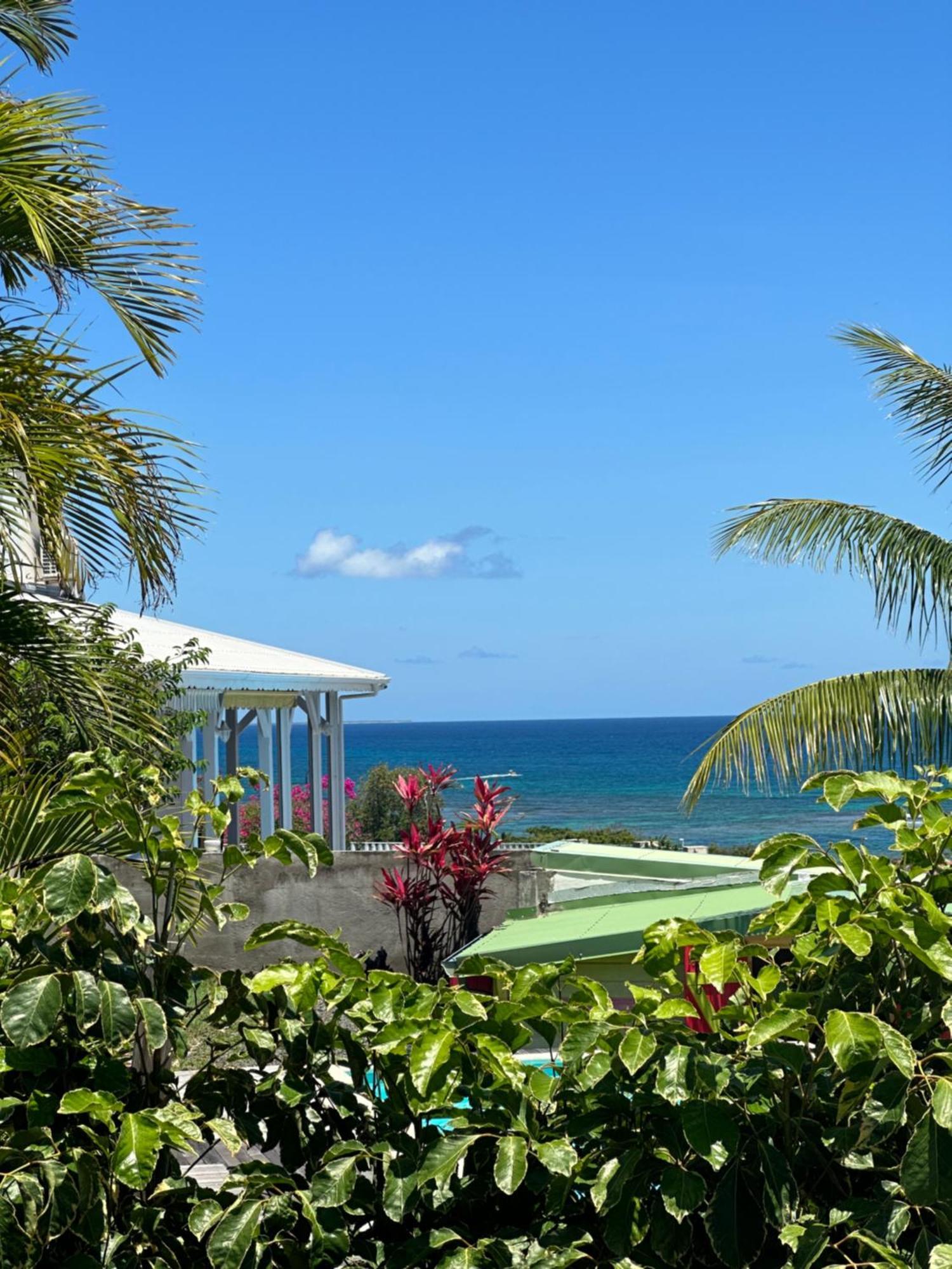 Mango Sea -Villa "Maracudja" Et Appartement "Jojoba" Avec Piscine & Vue Sur Les Iles แซงต์-ฟรองซัวส์ ภายนอก รูปภาพ